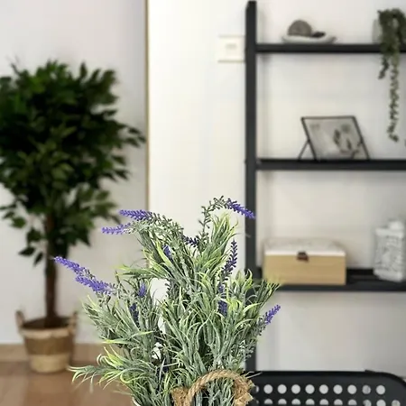 Pmp Adamia Apartment Peyia