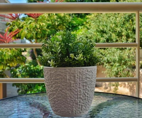 Pmp Adamia Apartmán Pegeia